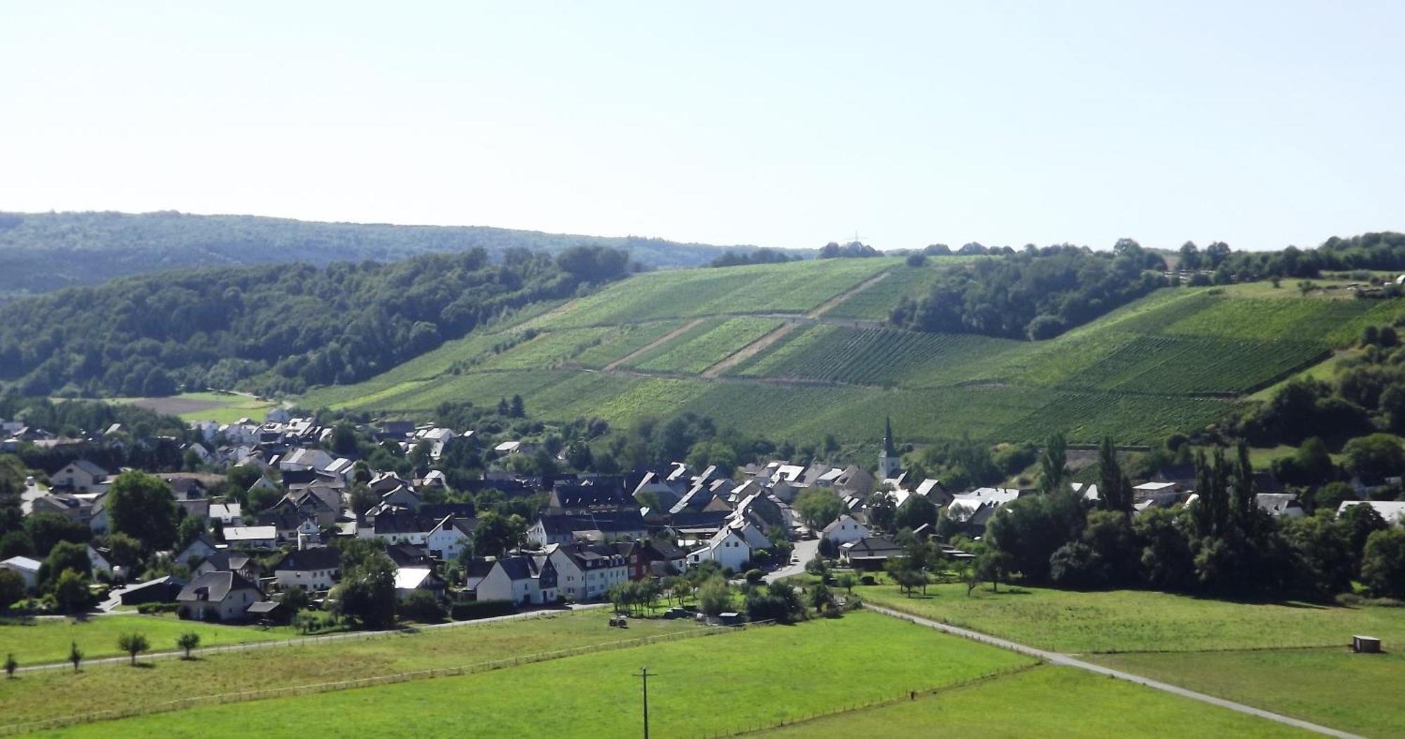 Ferienweingut & Gutsrestaurant Becker Apartment Burgen  ภายนอก รูปภาพ